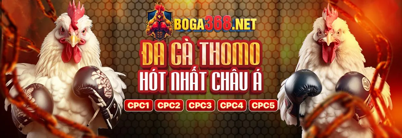 Các phương thức thanh toán an toàn tại tai sunwin